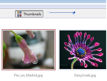 Fast Thumbnail View with Slider